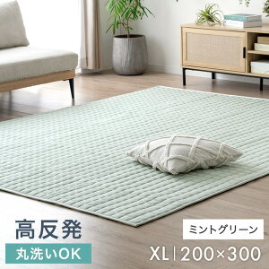 �ыʂ��ł��ɂ��� �􂦂� �L���g���O �������� ������ �E���^�� ���O �}�b�g ���O�}�b�g �J�[�y�b�g �O�~ ����~�� ���g�[ �z�b�g�J�[�y�b�g�Ή� 135×185 185×185 200×250 200×300 �k�� �������