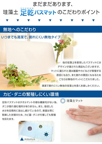 消臭機能付きMoissモイスバスマット