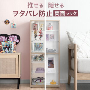 /B ] bN  40cm LX^[t  I^ [ AN RNVbN RNV{[h tBMAI FP[X I RNV I ObY ʂ L[