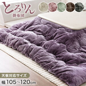 Ƃ zc |zc Pi ` 200×240  zc pzc {[ 唻 傫 傫 g  |zc 􂦂 R hL k R^c Vv  ~