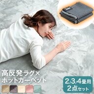 ラグ+ホットカーペット2点セット 2畳 / 3畳用 極厚2.5cm 高反発 ラグ 185×185cm 200×250cm ホットカー…