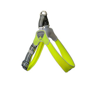 yR[s[izp n[lX ߉\ ȒP  @SȂ@킢@uh@ h~ NbV Ȃ Chinquetorri `NGgb CO uh@