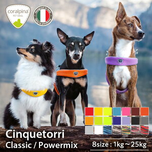 yR[s[iz^ ^ ^p n[lX ȒP  @SȂ 킢@uh@ h~ NbV Chinquetorri `NGgb CO uh@g