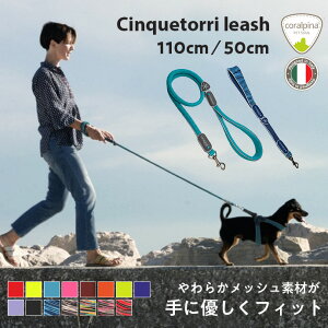  [h R[s[i 110cm 50cm `NGgb NVbN p[~bNX ^ ^ ^  IV  킢  lC  y Cinquetorri h~ 