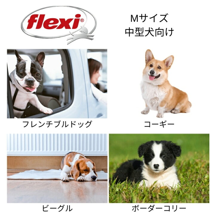 ペット 猫 犬 ハンモック ニャンモック 寝袋 柔らかい 四季兼用 Lサイズ ドット グリーン 格安新品