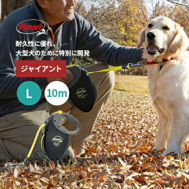 楽天市場 伸縮リード 10mの通販