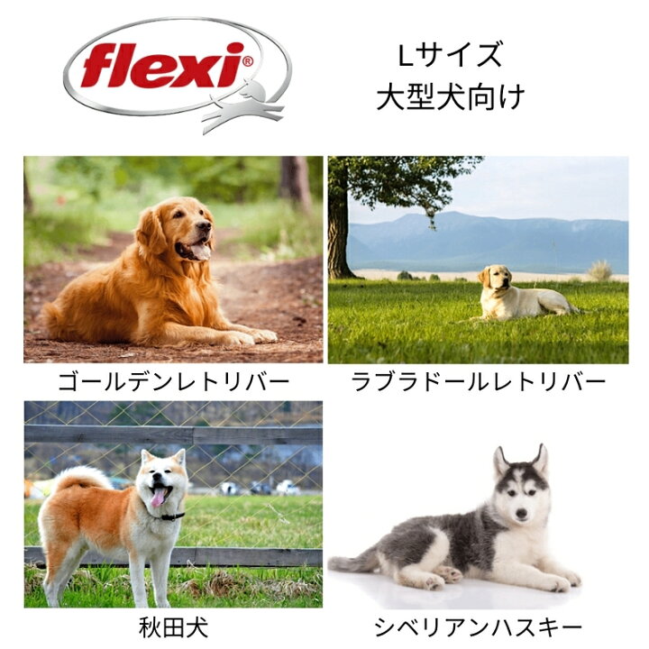 超ポイント祭 期間限定 Flexi フレキシ 伸縮 リード Giant テープタイプ ネオン Xlサイズ 8m 並行輸入品 犬用 ネコ用 トイレ用品 お散歩 ケージ おもちゃ ウェア 寝具 Fucoa Cl