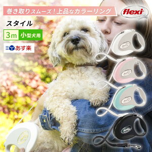 pՁ^݌ɌytLVz X^C ^ e[v 3m Lk[h  tLV Flexi flexi (flexi) ̃[h  Lт郊[h hCc S pi lC STCY