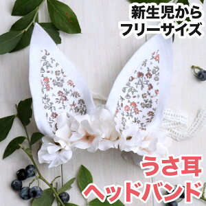 ʐ^Be V oeB ET  ETM  wbhoh p[eB[ LOBe Ԃ wAANZ oYj wAANZT[   a 100LO LOBe C[