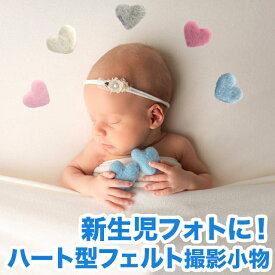 楽天市場 赤ちゃん フェルトの通販