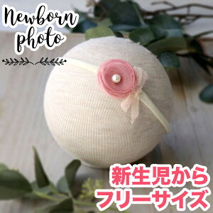 j[{[tHg ɂ t[TCY@wbhoh I[KW[ wAoh a Ԃ wAANZ oYj { J`[V  j {Q a 100LO 