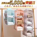 【楽天1位】【2冠獲得】 吊り下げ収納 吊り下げ ラック 折りたたみ クローゼット 衣類 2段 3段 4段 ハンガー 収納 カゴ かご 衣類収納 収納ボックス 収納ケース 収納棚 タオル マスク ズボン シャツ 下着