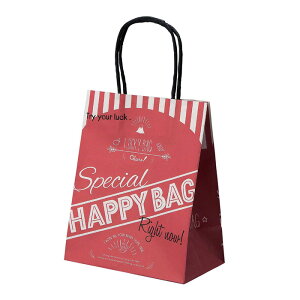 y25znbs[obO 20×12×25cmX^CbVȃnbs[obOB ܂ƂĂ͂AeCxg̔̑iȂǂɂ߂łBbsO Mtg   Ɩp  