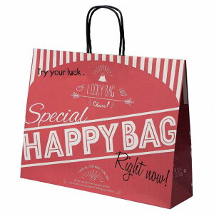 y50znbs[obO 41.5×11×32cmX^CbVȃnbs[obOB ܂ƂĂ͂AeCxg̔̑iȂǂɂ߂łBbsO Mtg   Ɩp 