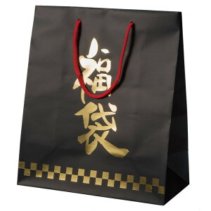 y5%OFFN[|LIubNtCf[Ԓz񂰕 m[ 30×13×35 10 bsO Mtg 