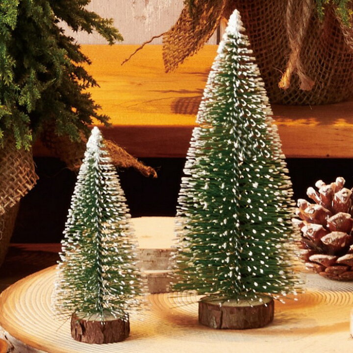 楽天市場 ミニクリスマスツリー グリーンセット商品棚やレジ前にちょこんと並べるだけでもかわいい シンプルな卓上ヌードツリー オフィスやクリニックの受付にもおすすめです クリスマスツリー おしゃれ 北欧 卓上 ストア エキスプレス 楽天市場店