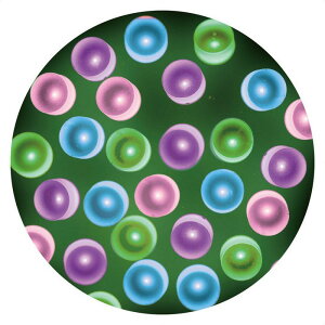 y5%OFFN[|LIubNtCf[Ԓzy100zLEDXg[gCg }WJ~bNXNX}X C~l[V d Cg LED nEB O