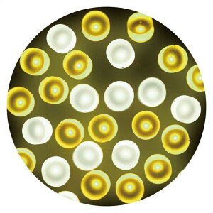 y5%OFFN[|LI1410`16zy100zLEDXg[gCg VCl[hNX}X C~l[V d Cg LED nEB O