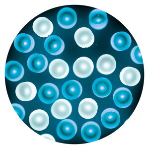 y5%OFFN[|LI1410`16zy100zLEDXg[gCg VCTt@CANX}X C~l[V d Cg LED nEB O