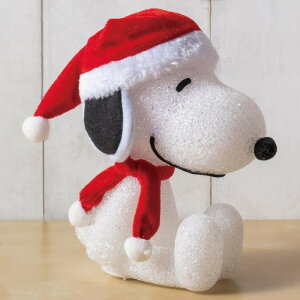 スヌーピー クリスマスの人気商品 通販 価格比較 価格 Com スヌーピー クリスマスの人気商品 通販 価格比較 価格 Com