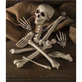 楽天市場 骸骨の通販