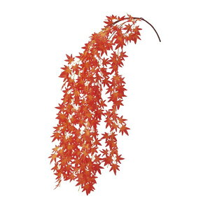 y10%OFFN[|LI125zgtV_ 2{H    } gt ݂ ~W fR[V