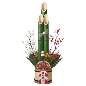 y5%OFFN[|LI}\ԒzyVR|gpzʒ|叼 150cm 1䑗 叼    |   ̔