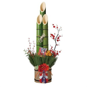 y5%OFFN[|LI}\ԒzyVR|gpzO|叼 150cm 1䑗 叼    |   ̔