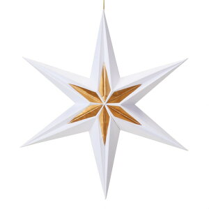 y5%OFFN[|LIyVSSԒzy[p[ZpX^[nK[ 30cm zCg 1NX}X   G IuWF  X^[ I[ig