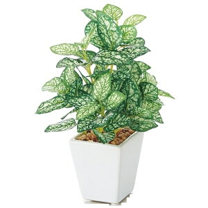 y5%OFFN[|LI121z~jO[|bg(tFCNO[) yy~A 1 tFCNO[ ϗtA tFCN lHϗtA A  ~j CeA A 