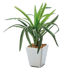 y5%OFFN[|LI121z~jO[|bg(tFCNO[) hZi 1 tFCNO[ ϗtA tFCN lHϗtA A  ~j CeA hZi 