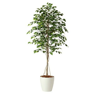 y5%OFFN[|LIubNtCf[ԒzyVRgpztBJXxW~i 150cm (G}H) 1䑗 tFCNO[ ϗtA tFCN lHϗtA A ^ C