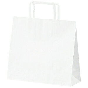 y5%OFFN[|LI121zy50z񂰎 Ђ [RXg^Cv n 26×s10×24cm  Ɩp  bsO  Ntg