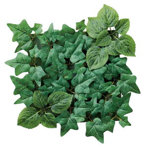 EH[O[ O[ 1 tFCNO[ ϗtA tFCN A Ǌ| CeA V[g