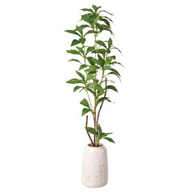 フェイクグリーン キンモクセイ 高さ66cm 1台金木犀は香りが強く女性人気の高い植物です。送料無料 フェイクグリーン 観葉植物 フェイク 人工観葉植物 リアル インテリア キンモクセイ