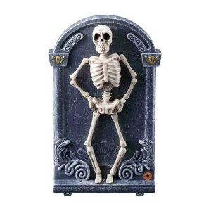 [rOƂڂKCRc 1[xȂƉƓŃnEB͋̕C𐷂グĂ܂B nEB  | z[ ΂ XJ hN [