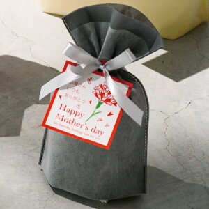 y20zwbY sDz{tMtgobO jAXJ[ O[ 18×29[19]×}`8cmԏiɃjAXJ[VoI bsO  Mtg 킢 