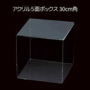 AN5ʃ{bNX 30cmp 1ANZT[EiEobOȂǂ̃fBXvCɂpB R̎ bN fBXvCbN I[vbN I  I Vv 