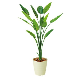 y10%OFFN[|LI125ztFCNO[ 160cm Xg`A 1䑗 tFCNO[ ϗtA tFCN lHϗtA A ^ CeA JXj Vzj 傫