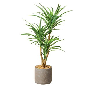 y5%OFFN[|LI1130ztFCNO[ Zg|bg bJ 1 tFCNO[ ϗtA tFCN lHϗtA A  CeA A  Zbg