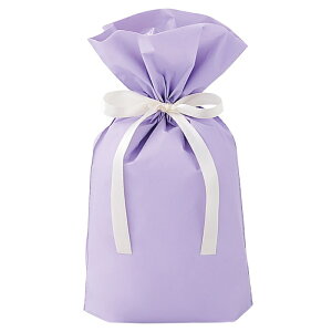 y20zn{tMtgobO p[v 17×28[18]×}`8cms̃A[XJ[A݃J[̃ghꂽJ[ÕMtgobOB bs