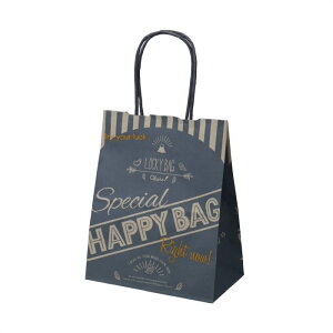 y25z܎񂰎 nbs[obO lCr[ 20×12×25cmeCxg̔̑iȂǂɂ߂łB100ĐAoCI}XCLgpECOdlB MtgobO b