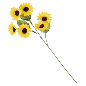 y5%OFFN[|LI1410`16zy12{Zbgzj[Tt[ԃXv[ 50cm Ђ܂ q}  CeA AW