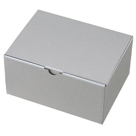 【10枚入り】ギフトボックス シルバーグレー 22×16.5×10.5cmプチギフトにぴったりの商品が引き立つ、シンプルで上品な無地のボックスです。送料無料 ラッピング 箱 ギフトボックス ギフト パッケージ プレゼント おしゃれ 大 被せ箱 シルバー