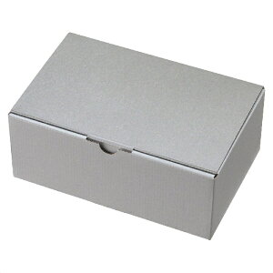 y5%OFFN[|LIubNtCf[Ԓzy10zMtg{bNX Vo[O[ 22.5×14×8.5cm bsO  Mtg{bNX Mtg pbP[W v[g 