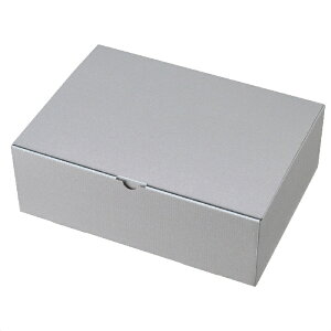 y5%OFFN[|LI101zy10zMtg{bNX Vo[O[ 34×24×11cm bsO  Mtg{bNX Mtg pbP[W v[g   킹 Vo[