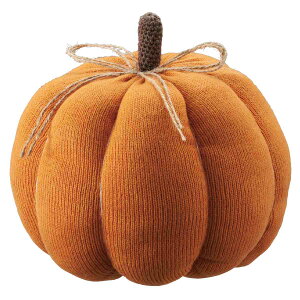 jbgpvLL 22×s22×18.5cm IW 1炩ñpvLAĝ݂H̑ɃIXXłB nEB ڂ J{` u  fBXvC