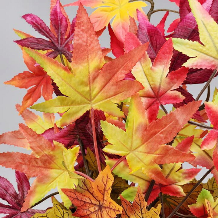 楽天市場】【抽選で最大100%ポイント還元！10月15日限り！】【2個入り 