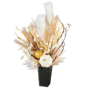 y5%OFFN[|LI1410`16zGKgppXOXԃAW 75cm 1  CeA t[AWg tFCNt[ tFCN A H