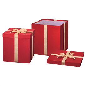 【2個入り】プレゼントボックスセット 装飾用 レッド 1セット送料無料 クリスマス 飾り 足元 オブジェ 足元隠し 置物 雑貨 足隠し クリスマスボックス クリスマスツリー